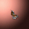 06060_big.png