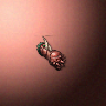 06070_big.png