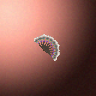 07040_big.png