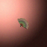 07050_big.png