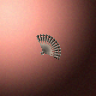 07060_big.png