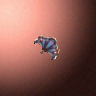 07070_big.png