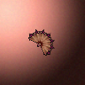07160_big.png