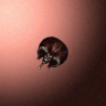 07190_big.png