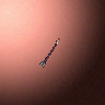 08007_big.png