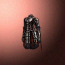 11690_big.png
