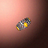 11978_big.png