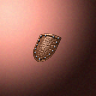 13000_big.png