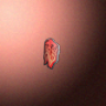 13100_big.png