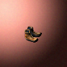 15000_big.png