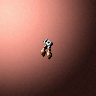 17000_big.png