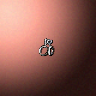 17140_big.png