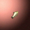 27805_big.png