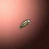 27808_big.png