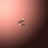 27810_big.png