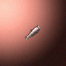27811_big.png