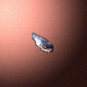 27816_big.png