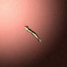 27817_big.png