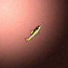 27821_big.png