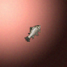 27835_big.png
