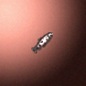 27836_big.png