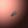 27838_big.png