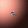 27840_big.png