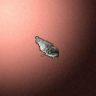27846_big.png