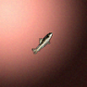 27851_big.png