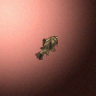 27865_big.png