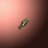 27866_big.png