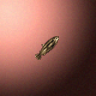 27867_big.png