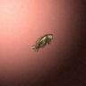 27868_big.png
