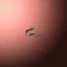 27870_big.png