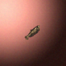 27871_big.png