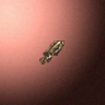 27872_big.png