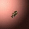 27873_big.png