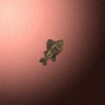 27874_big.png