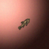 27875_big.png