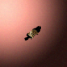 27876_big.png
