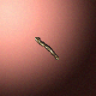 27877_big.png