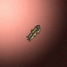 27879_big.png