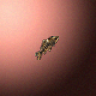 27882_big.png