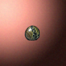 27991_big.png