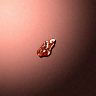 28004_big.png