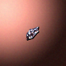 28010_big.png