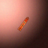 30018_big.png