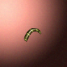 30022_big.png