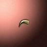 30028_big.png