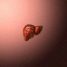 30029_big.png